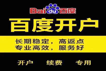 案例研究：竞价广告助力电商行业增长